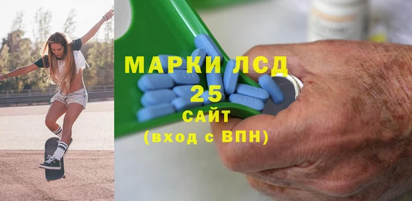 крисы Гатчина