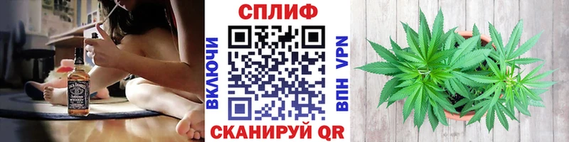 Бошки Шишки ГИДРОПОН  Купить где  Клин 